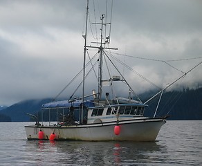 Image showing Salmon Fishing