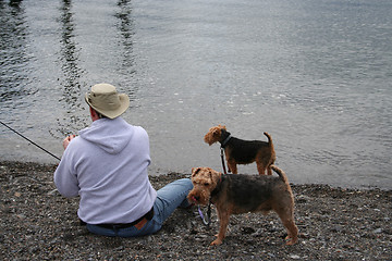 Image showing Fisherman with Dogs