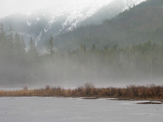 Image showing Winter Day