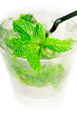 Image showing mojito caipirina cocktail with fresh mint leaves
