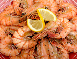 Image showing Tiger prawns