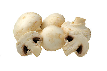 Image showing champignon on a white