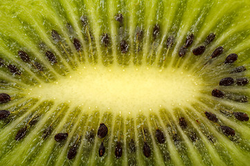 Image showing background of the slice kiwi