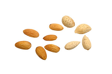 Image showing almonds on white