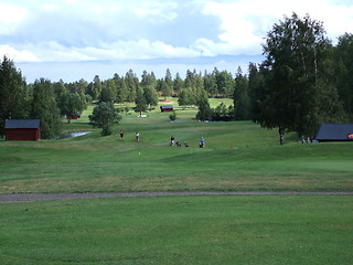 Image showing Playing golf