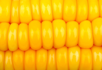 Image showing background of corn grains