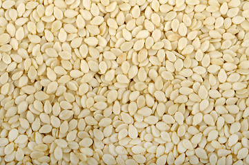 Image showing sesame seeds