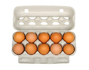 Image showing dozen eggs in carton