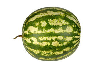 Image showing watermelon isolated on white background