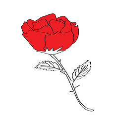 Image showing valentine rose