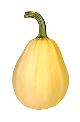 Image showing pumpkin on a white