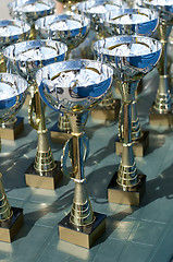 Image showing Championship cups