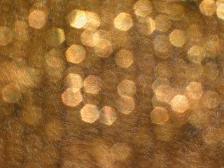 Image showing Gold Light