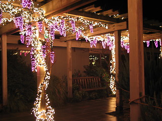 Image showing Grape Arbor of Lights