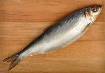 Image showing herring