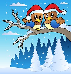 Image showing Two cute birds with Christmas hats