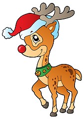 Image showing Deer with Christmas cap 1