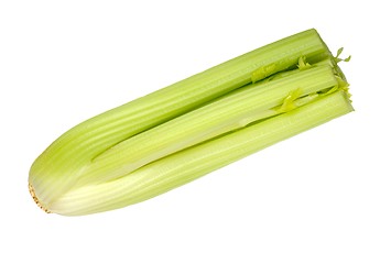 Image showing celery isolated on white background