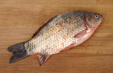 Image showing crucian on a wooden background