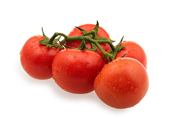 Image showing branch of red tomatoes