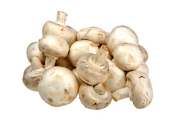 Image showing champignon on a white