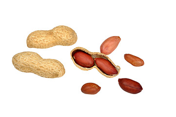 Image showing peanut on white