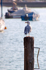 Image showing Garda - Lake Garda - Italy