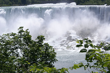 Image showing Falls Through the Trees