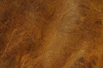 Image showing Distressed leather texture