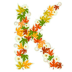 Image showing Pattern floral letter K