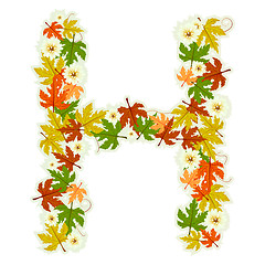 Image showing Pattern floral letter H