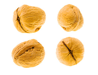 Image showing Walnut (isolated)