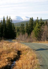 Image showing Country road