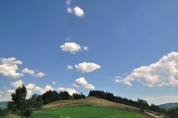 Image showing Field and sky