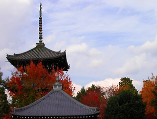 Image showing Roofs