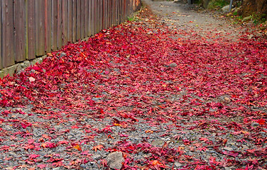 Image showing Autumn path