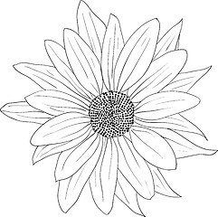 Image showing floral design element and hand-drawn , vector illustration