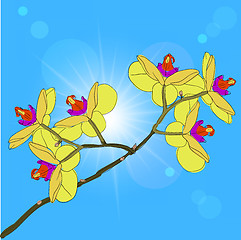 Image showing twig blossoming orchids on a background