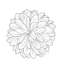 Image showing floral design element and hand-drawn , vector illustration