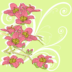 Image showing tender twig blossoming orchids on a light background 