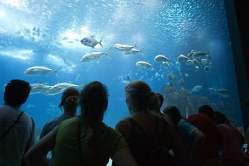 Image showing Oceanario de Lisboa