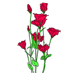 Image showing vector flower background