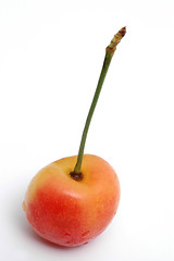 Image showing rainier cherry