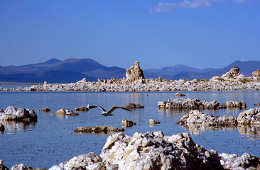 Image showing Mono Lake, California