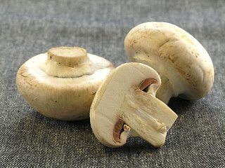 Image showing fresh champignon 