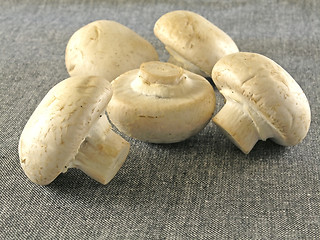 Image showing fresh champignon 
