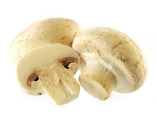 Image showing fresh champignon 