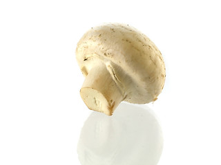 Image showing fresh champignon 