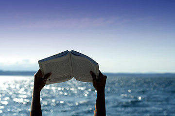 Image showing Reading on the beach