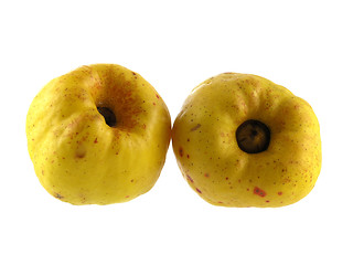 Image showing quince